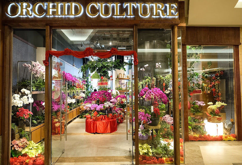 Orchid Culture The Gardens Mall gallery