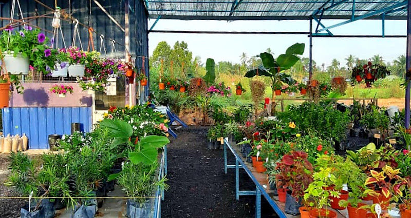 NSZ Mekar Nursery gallery