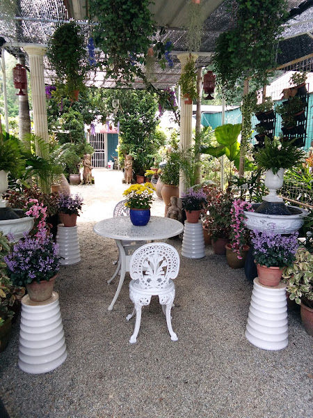 Waterfall Evergreen Venture gallery