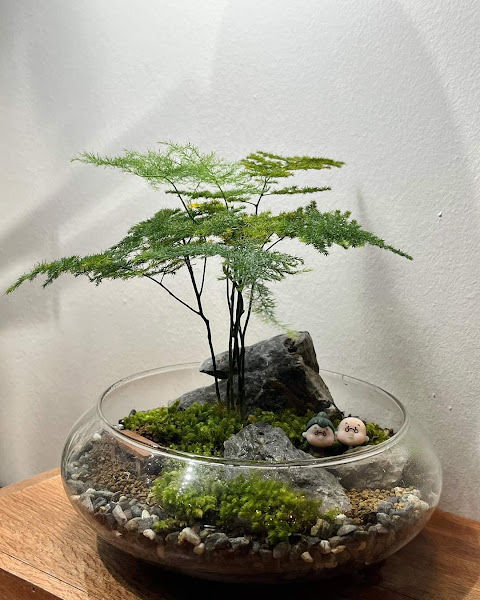 Geogetown Florist & Green Plant Society gallery