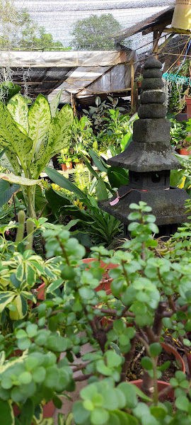 SMM Landscape Sdn Bhd gallery