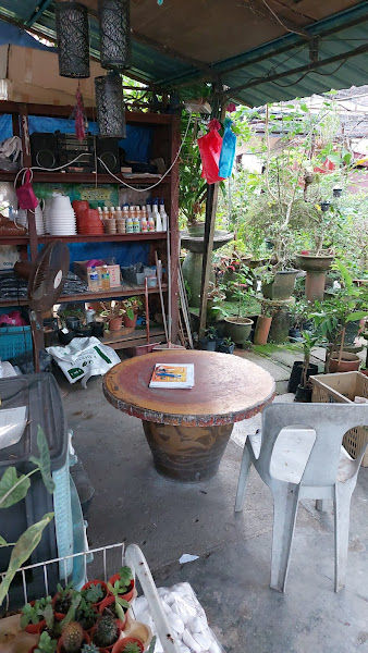 Nurseri Pokok gallery