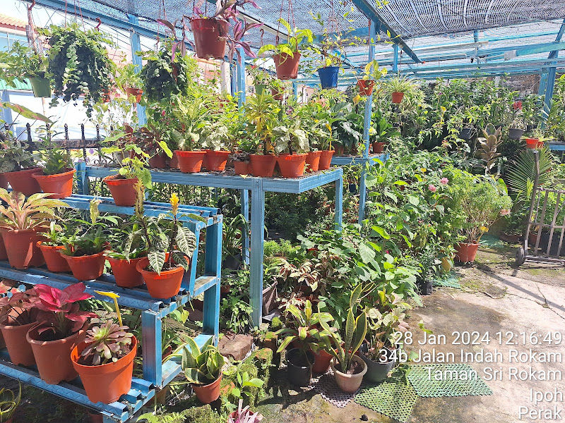 Nursery Nurezqi Ent (myhomefresh) gallery