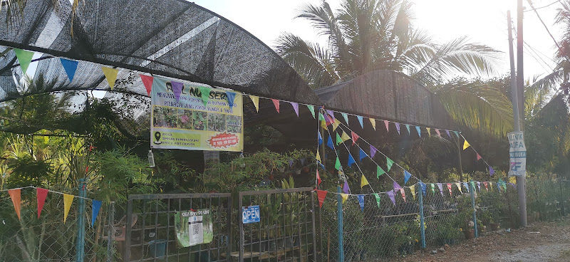 aBIL NURSERY gallery