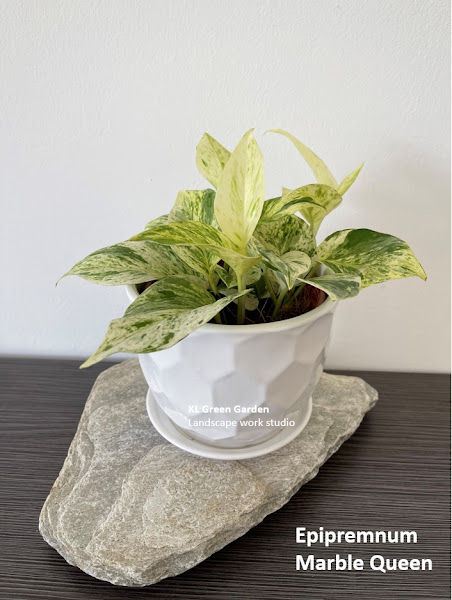 KL Green Garden Work Studio gallery