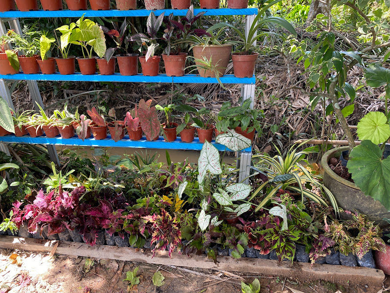 Nursery Kayangan gallery