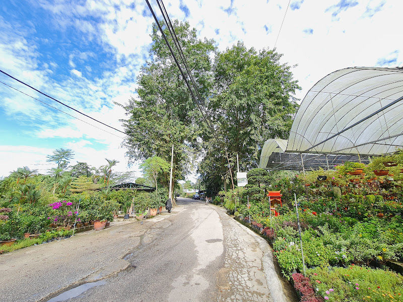Sungai Buloh Garden Centre gallery