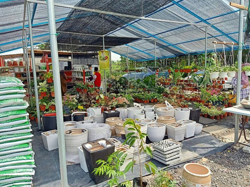 Elmina Nursery & Gardening gallery