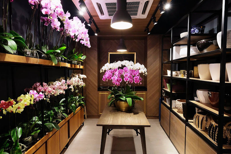 Orchid Culture The Gardens Mall gallery