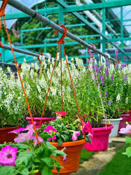 Lot Greens Enterprise gallery