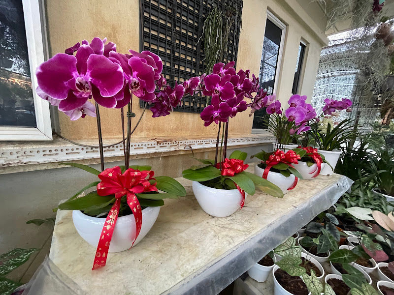 Orchid Life Horticulture Nursery