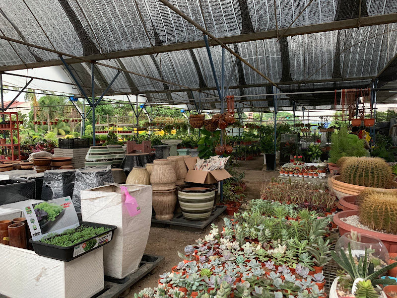 Biogreen Trade gallery