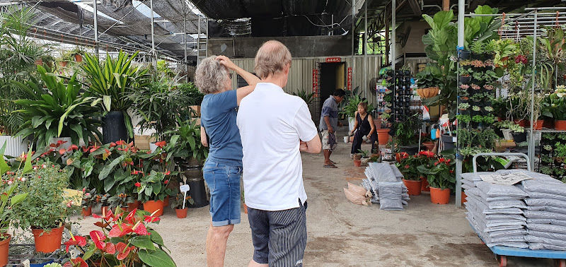 Lot 35 Garden World gallery