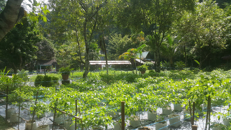 HQ Garden Nursery Farm gallery