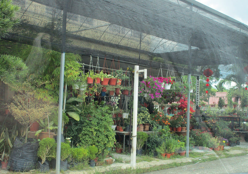 NCS Craft Garden Landscape gallery