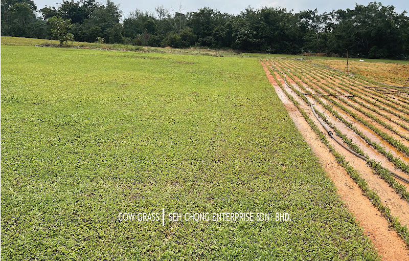 Seh Chong Enterprise Sdn.Bhd. gallery