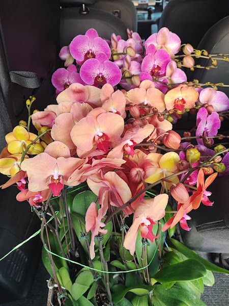 Fong Seng Landscape Trading gallery