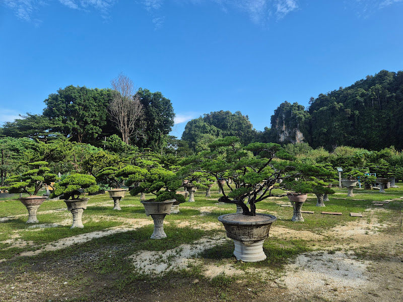 Poh Wah Bonsai Art Garden gallery