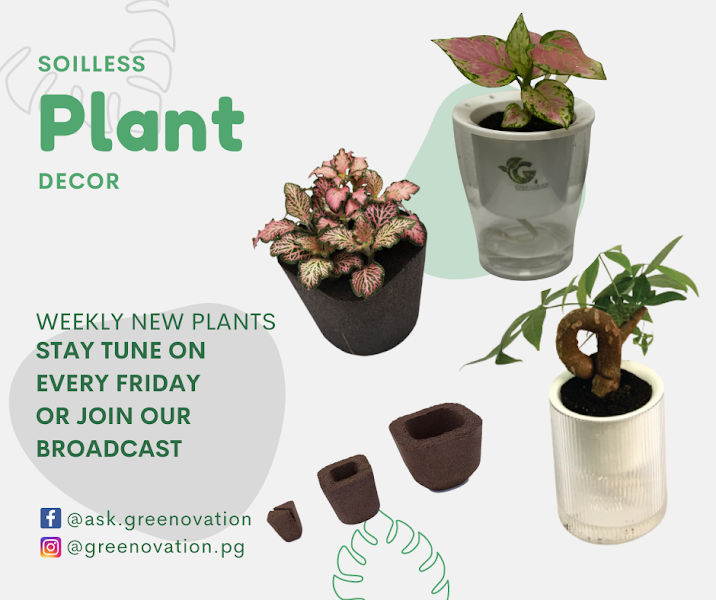 Greenovation gallery