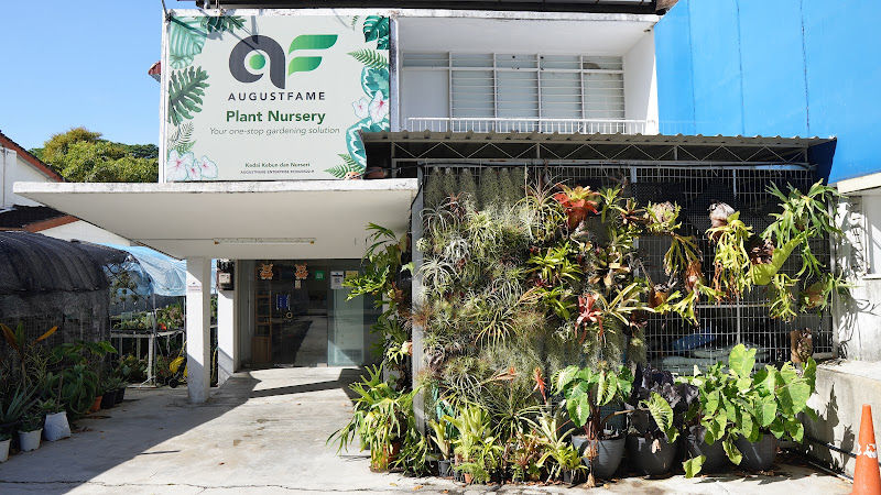 AugustFame Plant Nursery