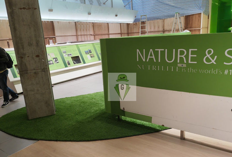 The Garden & Landscape Guys