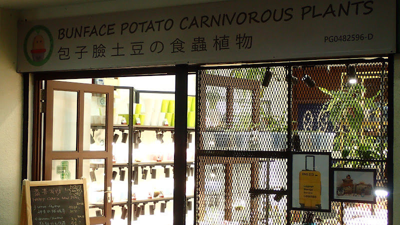 Bunface Potato Carnivorous Plants