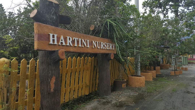 Hartini Nursery