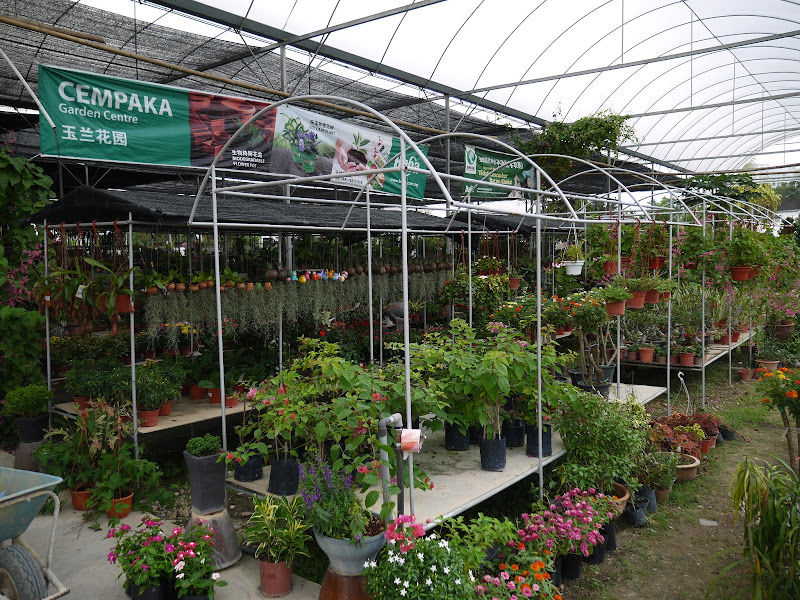 Cempaka Nursery (Eco Garden Centre) gallery