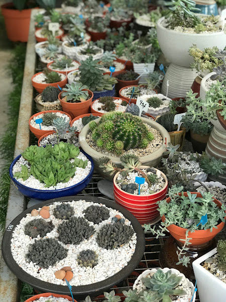 Jing Garden Nursery gallery