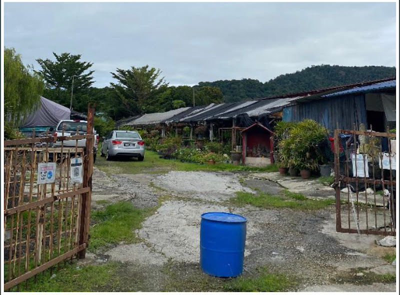 Sunny Pottery And Garden