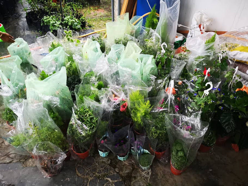 Rimbun Sekebun Sdn. Bhd. gallery