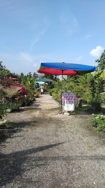 Berkat Nursery gallery