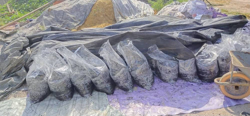 Aat Landscape Nursery (Rumah Nursery) gallery