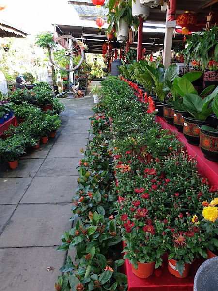 Katsura Garden Centre gallery