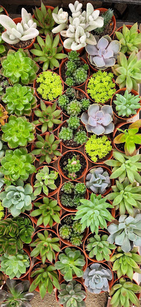 Rimbun Anggun Enterprise gallery