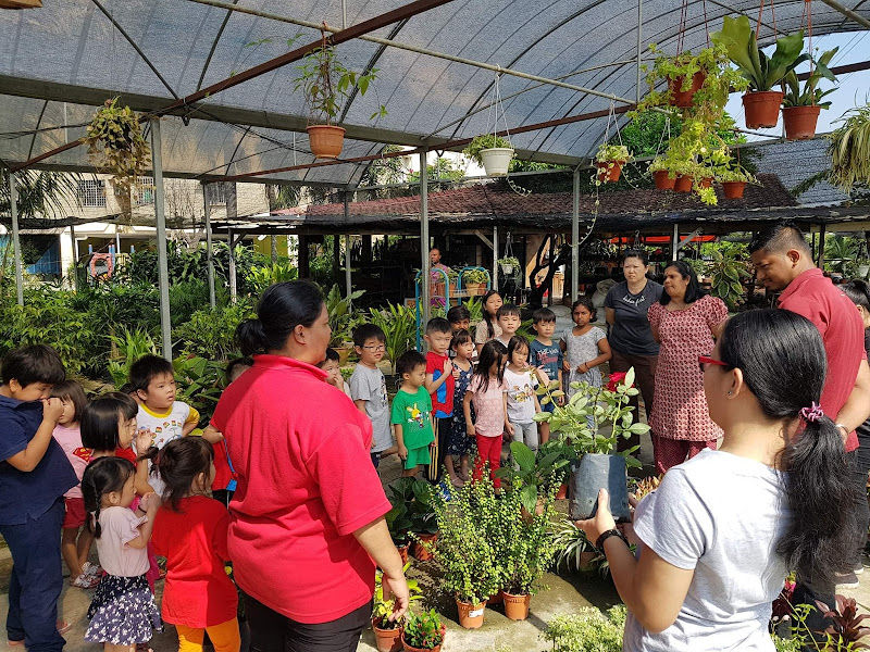 Cactus Point KL Melati Nursery gallery