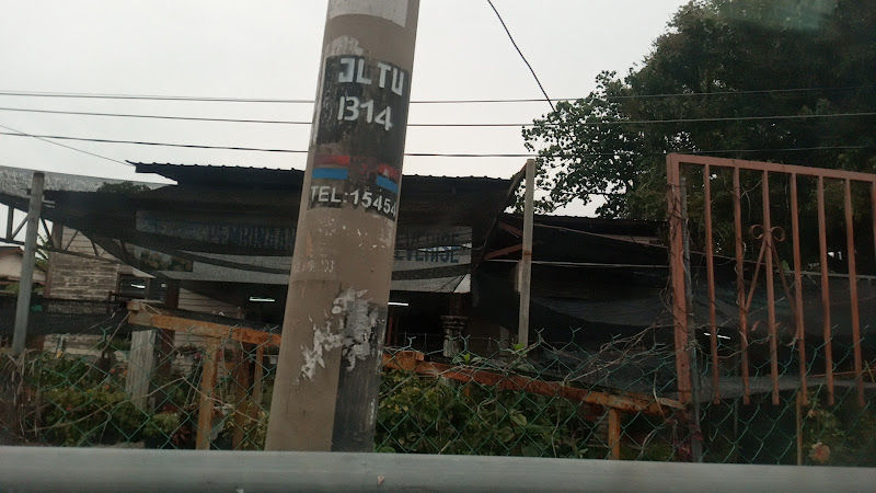 EVERISE NURSERY gallery