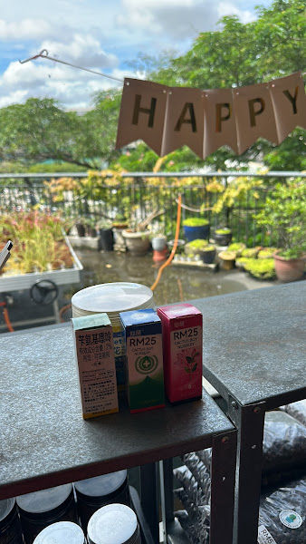 Cactus Boy Nursery @ Citta Mall (Balcony Level 3) gallery