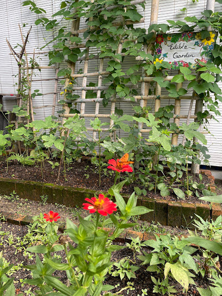 Ground Control Sdn Bhd