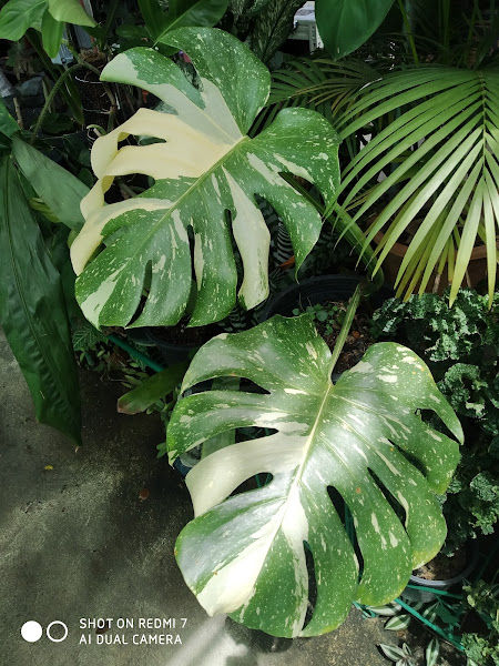 GreenHouse Nursery gallery