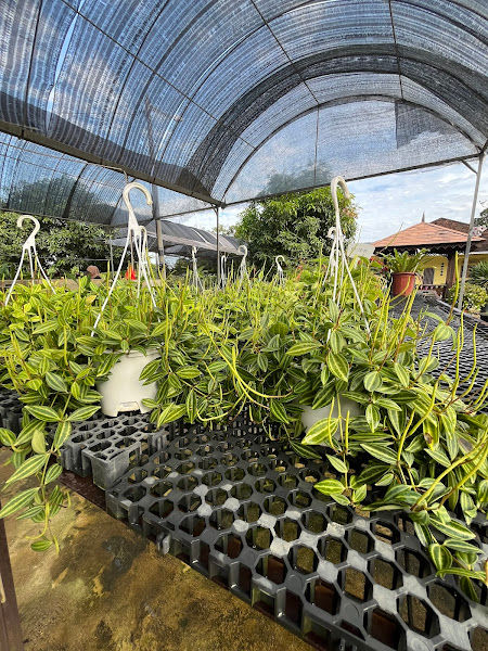 Laboo Landscapes (Nursery) gallery