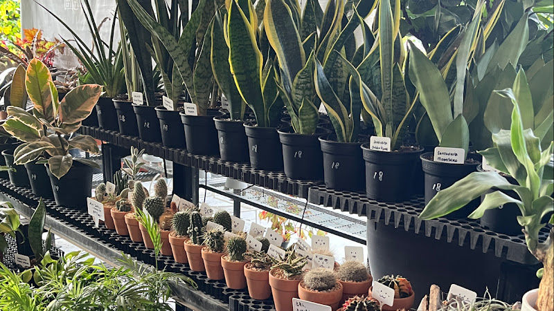 Eco Plus Venture Nursery