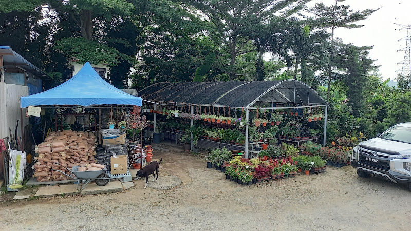 Serdang Nursery