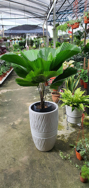 Perniagaan Yuen Fatt gallery