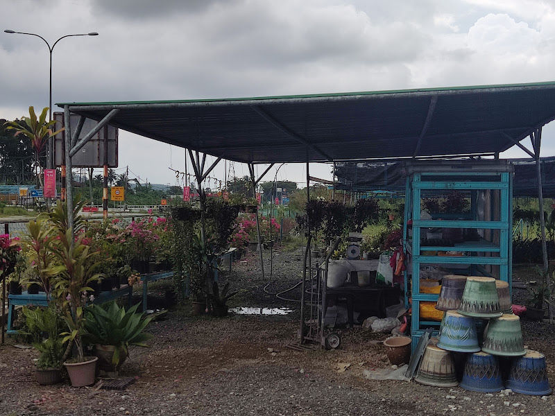 Asmah garden nursery