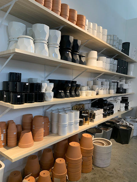 Plnt.co Cyberjaya (PLNT.co) gallery