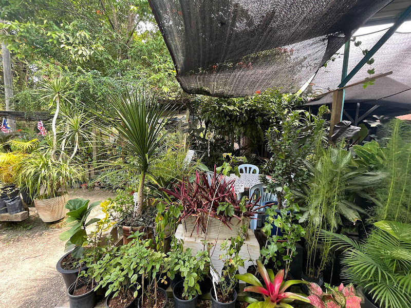 CERITA POKOK - nursery & cafe gallery