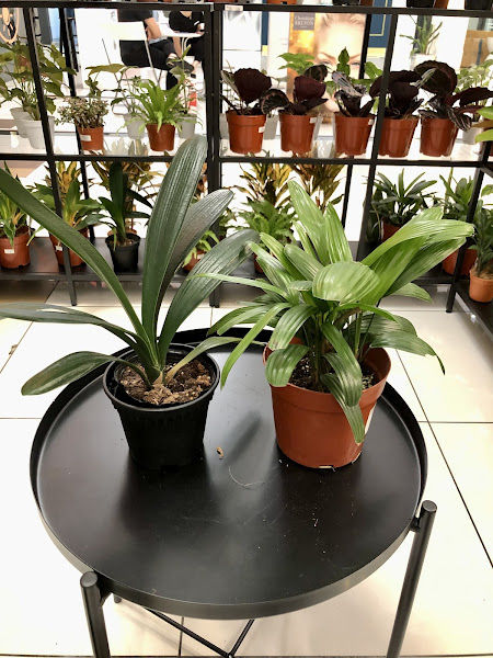 Urban Greenspace Enterprise gallery