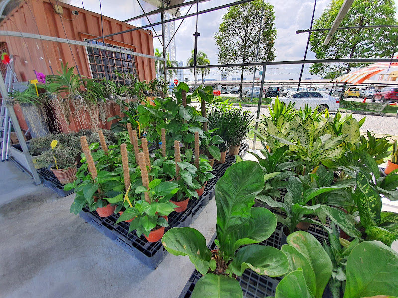 Florale Production Nursery gallery