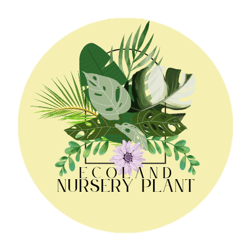 ECOLAND NURSERY PLANT gallery